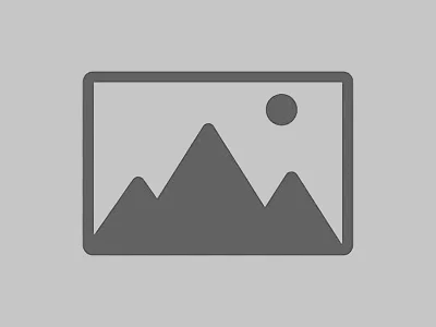 logo placeholder